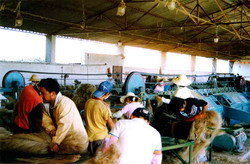 開放的賓川歡迎您 資產管理新機遇